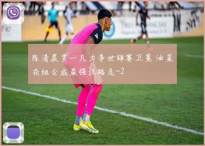 陈清晨贾一凡力争世锦赛卫冕 油菜花组合成最强拦路虎