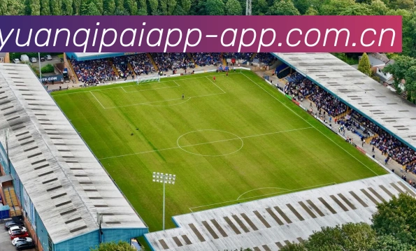 开元棋牌app官方客户端APP 封面图